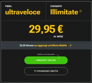 Immagine Offerta